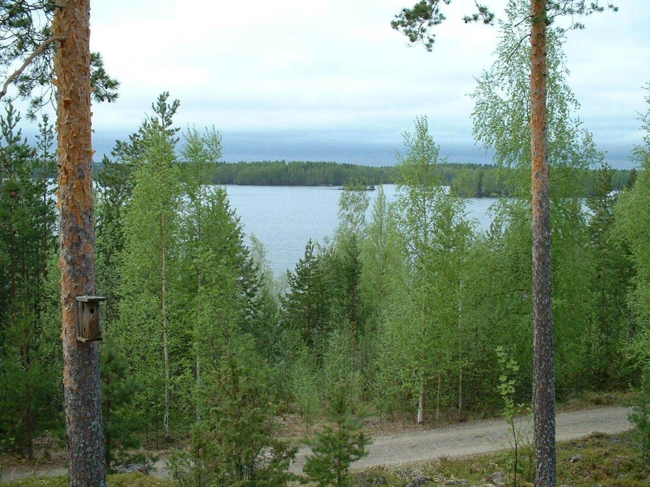 Pitkäniemen Lomamökit Joutsa Exteriör bild
