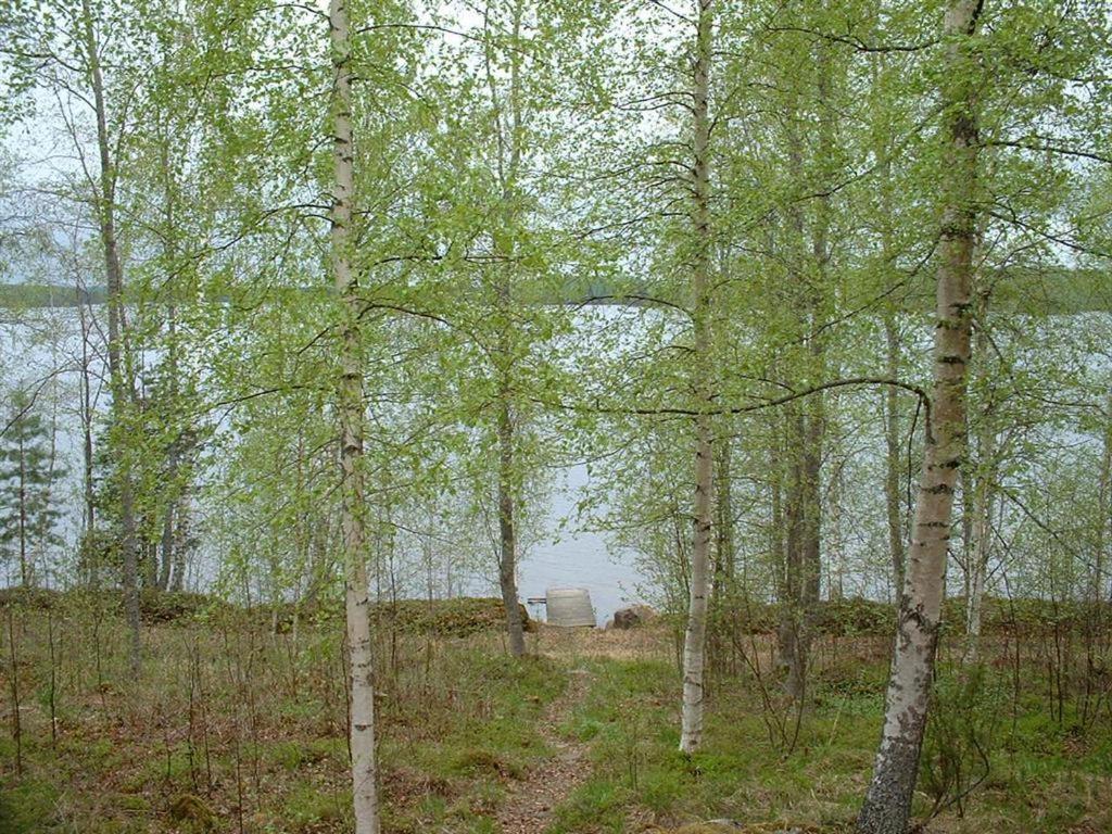 Pitkäniemen Lomamökit Joutsa Exteriör bild